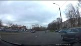 Čápi bojovat na silnici v Minsku