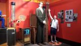 Det er at stå ved siden af ​​den højeste mand, der nogensinde har levet