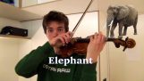 Sunete de animale cu o vioară