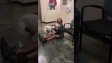 Um mendigo encontra seu cachorro perdido