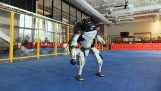 Τα ρομπότ της Boston Dynamics χορεύουν το “Do You Love Me”