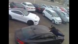 Sprzedawca samochodów wisi na masce pojazdu, gdy zostaje skradziony