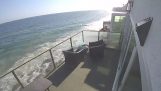 Zawalenie się balkonu w Malibu