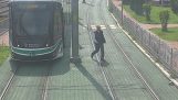 Il conducente del tram aiuta una tartaruga