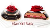 Pastel de chocolate con una rosa