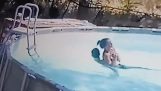 10岁男孩在泳池中救下溺水的母亲