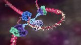 Функціонування ДНК якоюсь дивною анімація