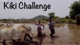 Kiki udfordring i en indisk landsby