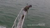 Hvithai prøver å bite en forsker