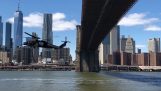 Helicópteros voar sob o ponte de Brooklyn