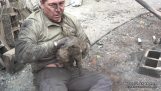 Рятуючи кішку після пожеж в Каліфорнії