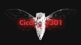 Mysteriet med Cicada 3301