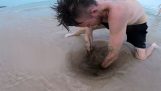 なぜあなたは砂オーストラリアの下に手を入れてはいけません