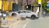 Ein Fahrer zerstört den neuen Lamborghini