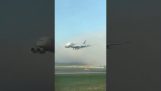 Et fly vises fra ingensteds