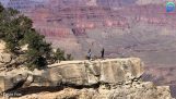 Una mujer en peligro de caer por un acantilado en el Gran Cañón