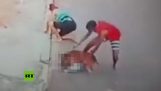 El hombre joven guarda un niño de 5 años atacado por pitbull