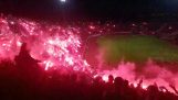 Chaos fireworks in Algeria tennis