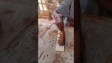 Painting with glue and sand