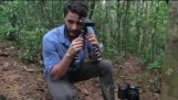 Come (Non) alla fotocamera trappola nella foresta amazzonica