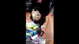 This is how you shoplift.