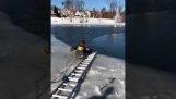 세미 얼어 붙은 호수에서 개를 저장