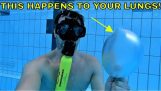 What happens If you hold your breath while scuba diving and freediving