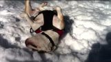 Bulldog svenska ha kul i snön