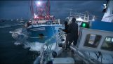 Seeschlacht zwischen dem britischen und Französisch Fischer