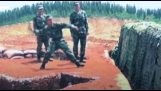 Accidents and blunders in the army