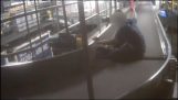 طفل على متن حاملة أمتعة في المطار