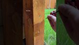 Jak odstranit šroub přilepený na dřevo