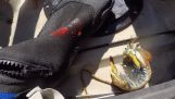 Une crevette de voyant blesse un pêcheur