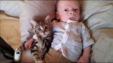 Zostavenie mačky a dieťaťa