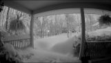 หิมะตกที่น่าประทับใจใน Binghamton ในรัฐนิวยอร์ก (ประเทศสหรัฐอเมริกา)