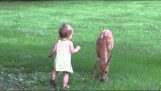 En liten flicka möter en fawn