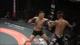 Double Knockout v MMA boji