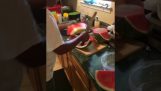 Skær vandmelon med imponerende hastighed