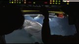 Sharks attack submarine