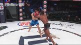 knock-out Brutal în lupta MMA