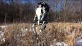图集, 新的仿人机器人的波士顿动力