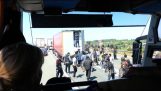 Immigrés envahissent dans la remorque d'un camion