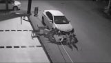 Los perros callejeros destruyen el coche para coger un gato