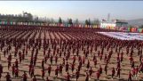 Dimostrazione della scuola di arti marziali Tagou in Cina