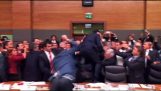 Madera en el Parlamento de Turquía