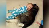 Bebelusul somnoros şi câine-perna