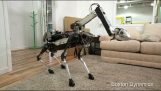 स्पॉटमिनी: बोस्टन गतिशीलता के नए रोबोट कुत्ते