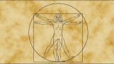 Vitruvianske mannen i matematik av da Vinci