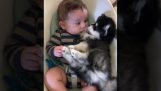Un copil si un catelus husky relaxa pe un leagăn