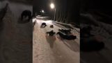 Norwegian police do sled with their shields